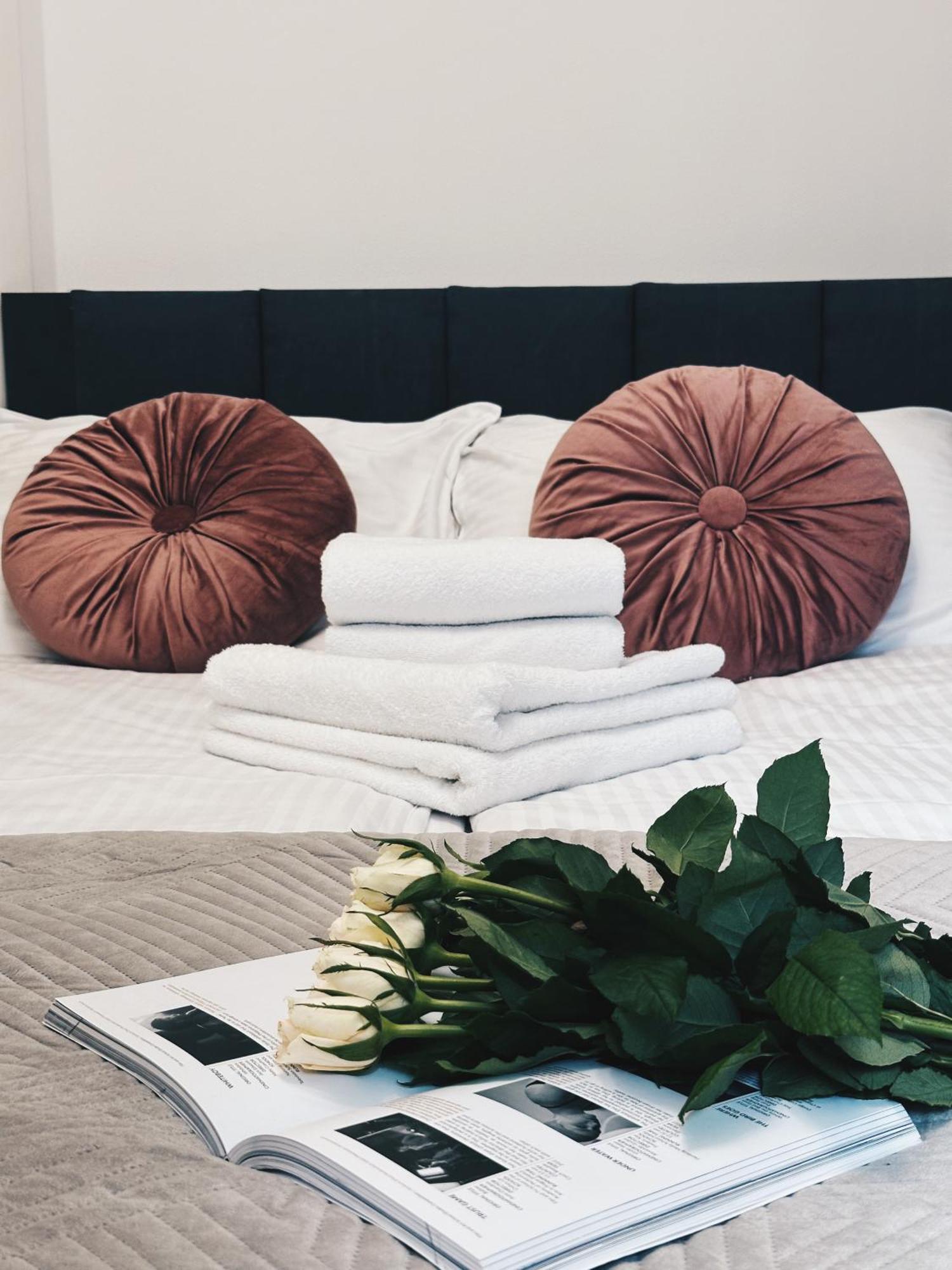 Soft Loft Apartamenty Torun Exterior foto